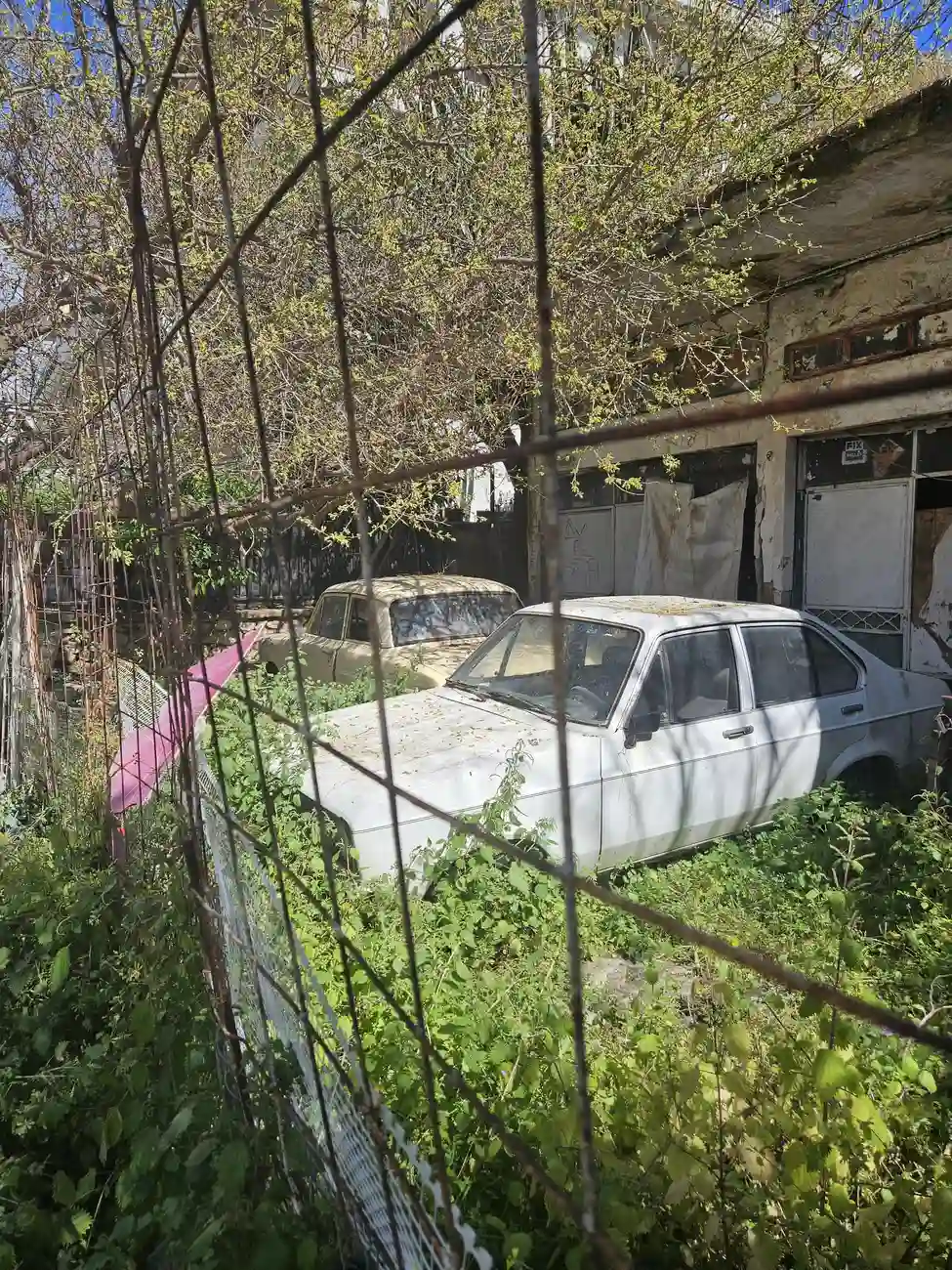 Εγκαταλελειμμενα αυτοκινητα στη Γλυφαδα: Δυο ιστορικα οχηματα σαπιζουν σε οικοπεδο