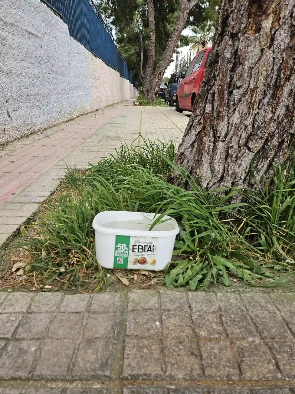 Πού υπάρχουν ποτίστρες για αδέσποτα στη Γλυφάδα; Οδηγός φροντίδας στα Νότια Προάστια