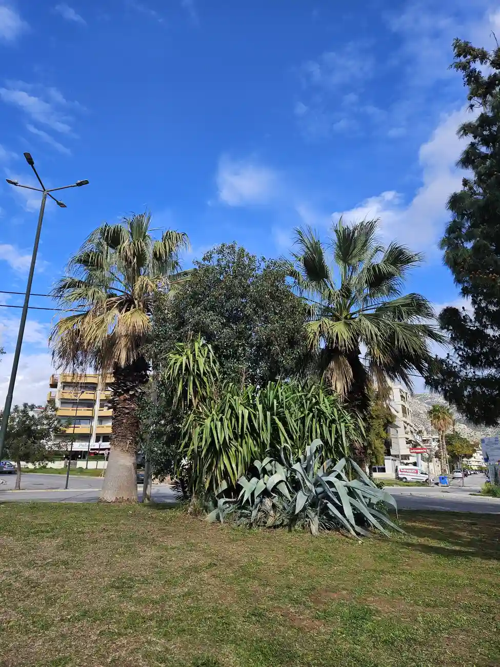 Πράσινη νησίδα στη διασταύρωση των οδών Σοφίας Βέμπο και Σάκη Καράγιωργα στη Γλυφάδα