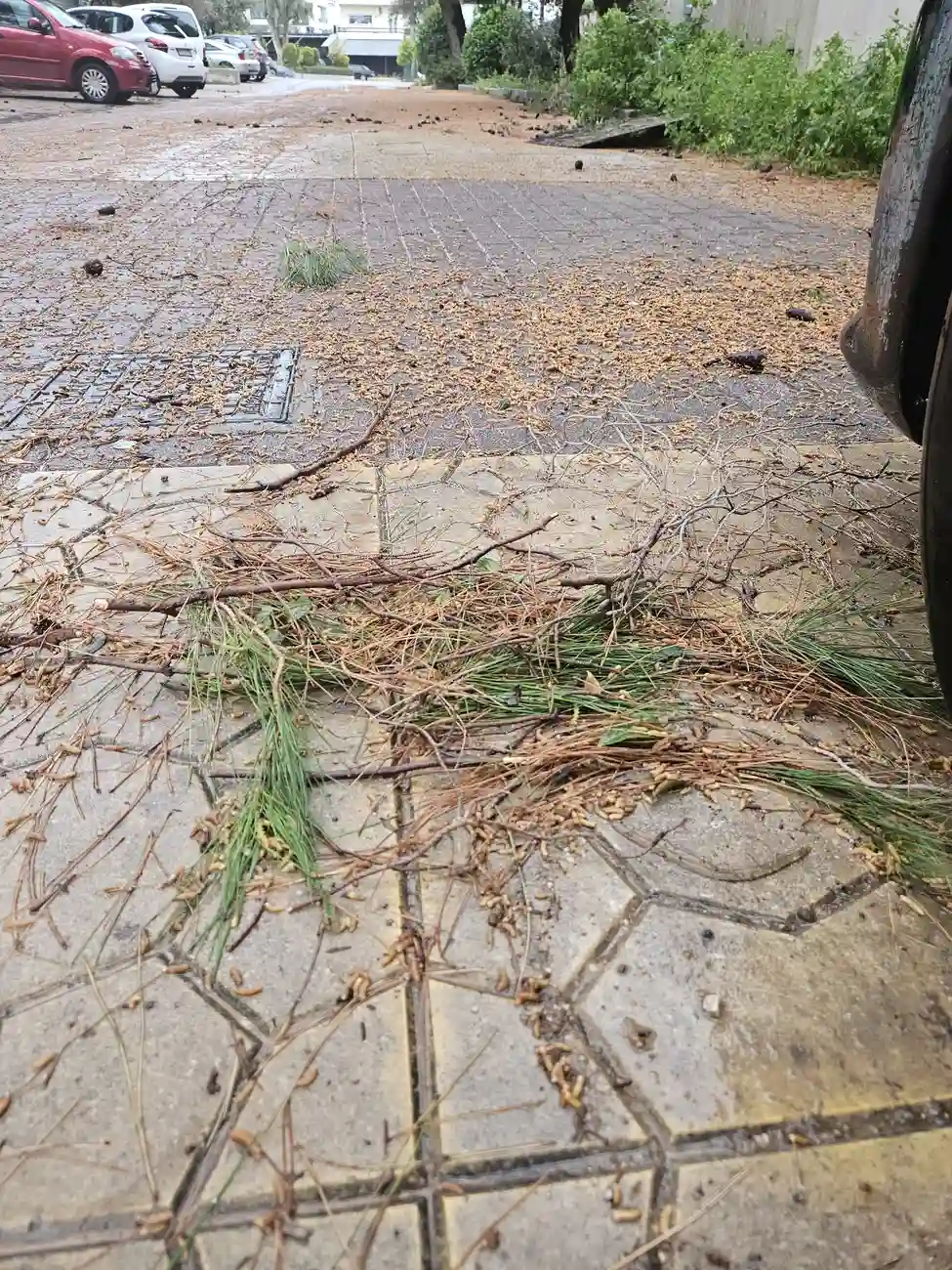 Πεζοδρόμιο Παναγίτσα Γλυφάδα