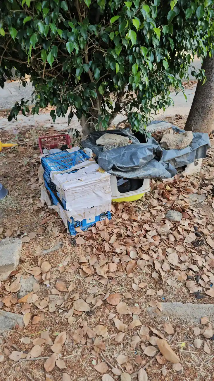 Αδέσποτα ζώα νομοθεσία: Οι διακριτικοί φιλόζωοι που κάνουν τη διαφορά!