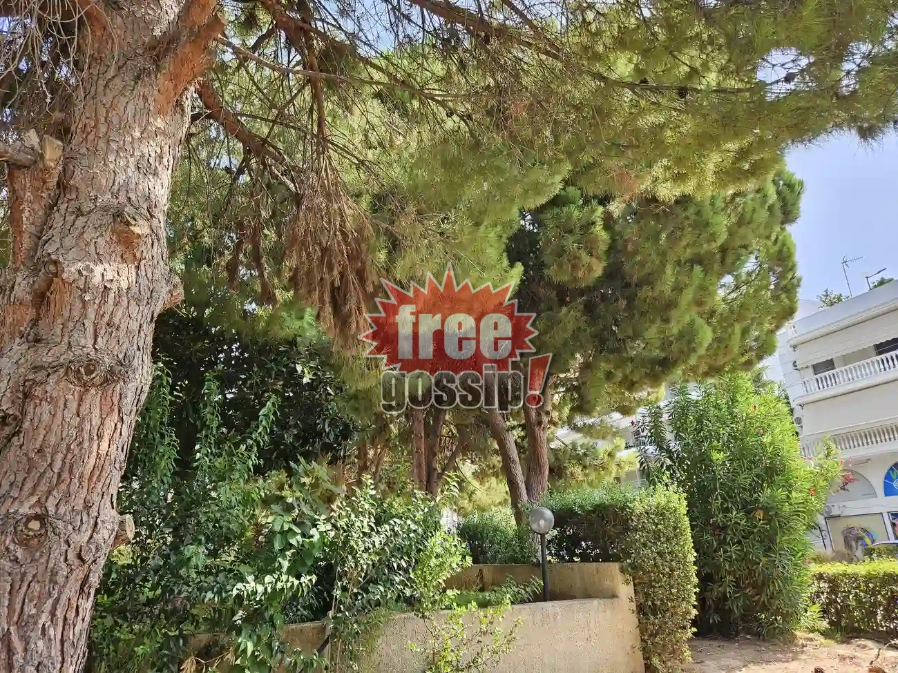 Real estate Γλυφάδα: Η ανάπτυξη φέρνει γκρίνια και πολύ τσιμέντο στη θέση του πράσινου που απέμεινε